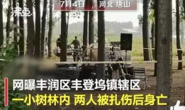 爆料视频唐山,揭秘背后真相与影响
